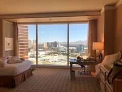 -拉斯维加斯永利酒店