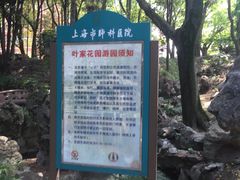 -叶家花园