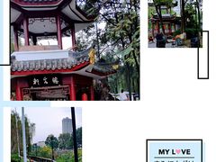 -温江公园