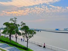 -南汇嘴观海公园