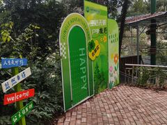 -芦仙山景区-飞越丛林探险乐园