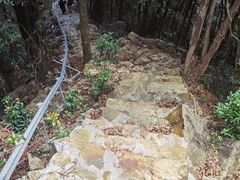 -广州市石门国家森林公园