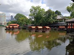 -侨美·唐荔园·40年地道粤菜