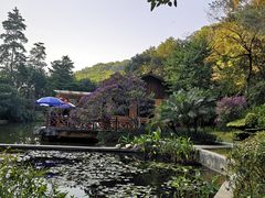 -云溪植物园