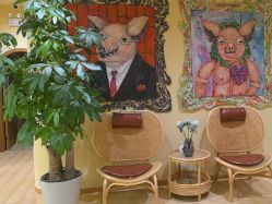 -小颜秘家·韩国整骨