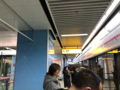 -大龙山(地铁站)