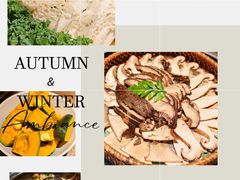 -蘑界·野生菌火锅(深业上城店)