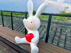 -杭州湾海上花田景区