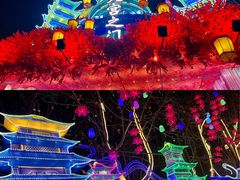 -淄博花灯齐彩城