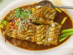 渤海湾刀鱼-小船渔村•大连菜•大连焖鱼(明泽街店)