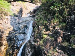 -花岩国家森林公园