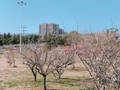 -蜀冈西峰生态公园