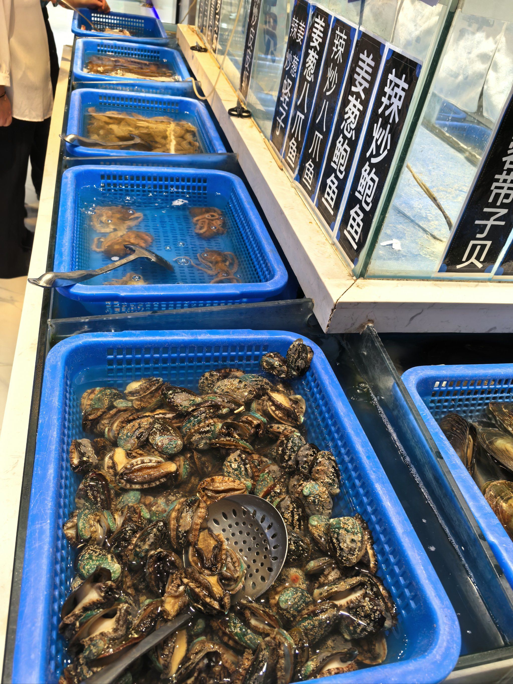 爱吃海鲜的都来了吗