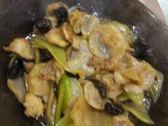 干锅野竹耳-庐州太太(双岗店)