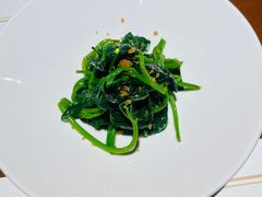 -觀芷隐轩