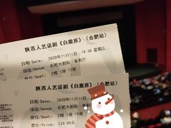 -合肥大剧院