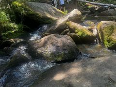 -汤旺河林海奇石景区