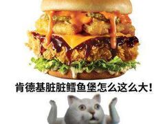 -肯德基(慈溪爱琴海店)
