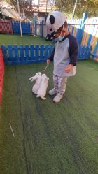 -萌宠亲子动物乐园(槐房万达店)