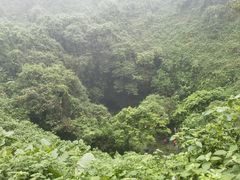 -海口火山口国家地质公园