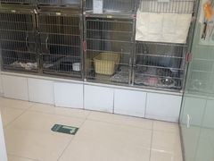 -悦宠凯宝动物医院·牙科·皮肤科(朝阳北路店)
