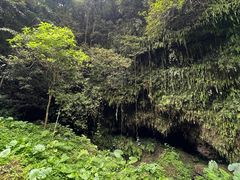 -海口火山口国家地质公园