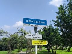 -洛阳市隋唐城遗址植物园