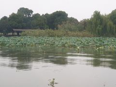 -莲花岛景区