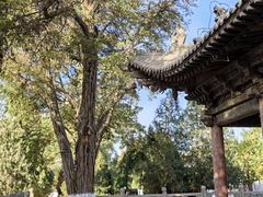 -张掖大佛寺景区