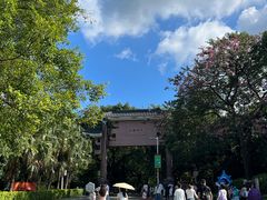 -水濂山森林公园