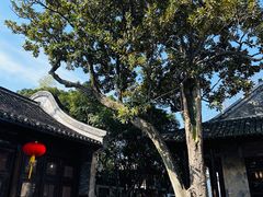 -个园
