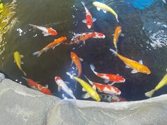 -鸿通城购物中心