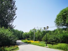 -永定河休闲森林公园