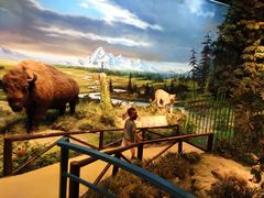 -陕西自然博物馆