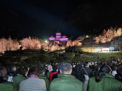 -禅宗少林·音乐大典