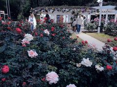 -人民公园(罗湖区)