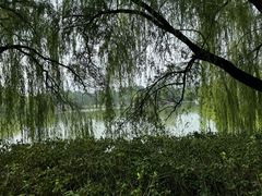 -达活泉公园