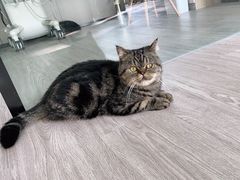 -派特宠物医院(海岸城店)