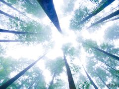 -山王坪喀斯特国家生态公园