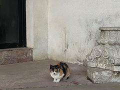 -荔湾博物馆