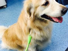 -北京赛佳动物医院