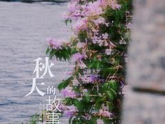 -南宁南湖公园
