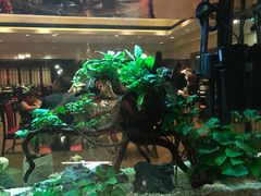 -海天楼中餐厅(吴宫泛太平洋酒店)