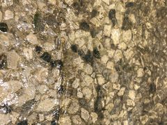 -秀儿家の小确幸花园西餐厅