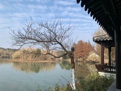 -沙家浜风景区