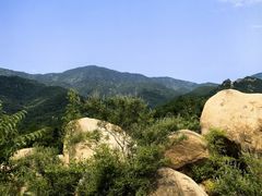 -紫云台香草园