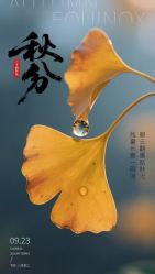 -雅曼妮spa美容养生