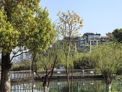 -飞凤山奥体公园