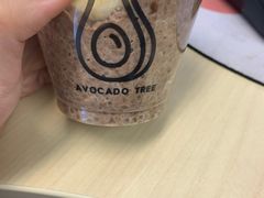 巧克力奇亚籽-油梨树AVOCADO TREE(嘉里中心店)