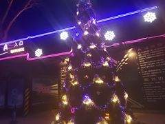 -枫花园汽车电影院(朝阳公园店)